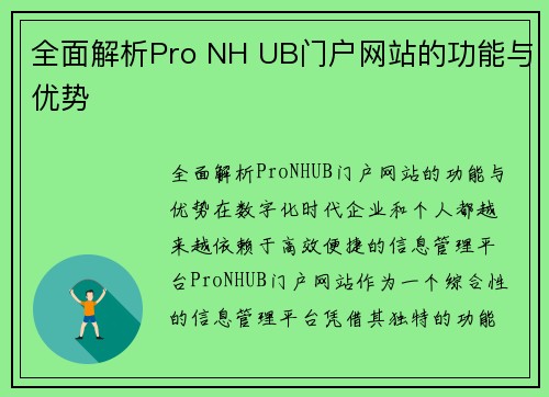 全面解析Pro NH UB门户网站的功能与优势
